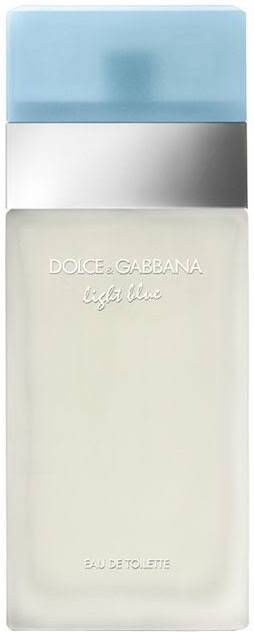 Dolce & Gabbana Light Blue Pour Femme eau de toilette - 100 ml online kopen